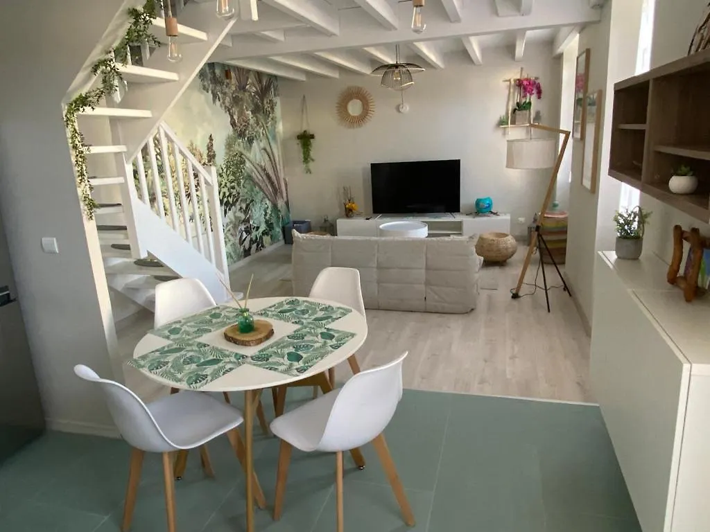 Appt Ambiance Exotique 2 Ch Piscine Lagon Apartment Tarbes