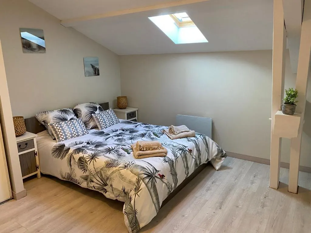 Esprit Jungle au coeur de la ville 2 ch / balcon Tarbes Appartement