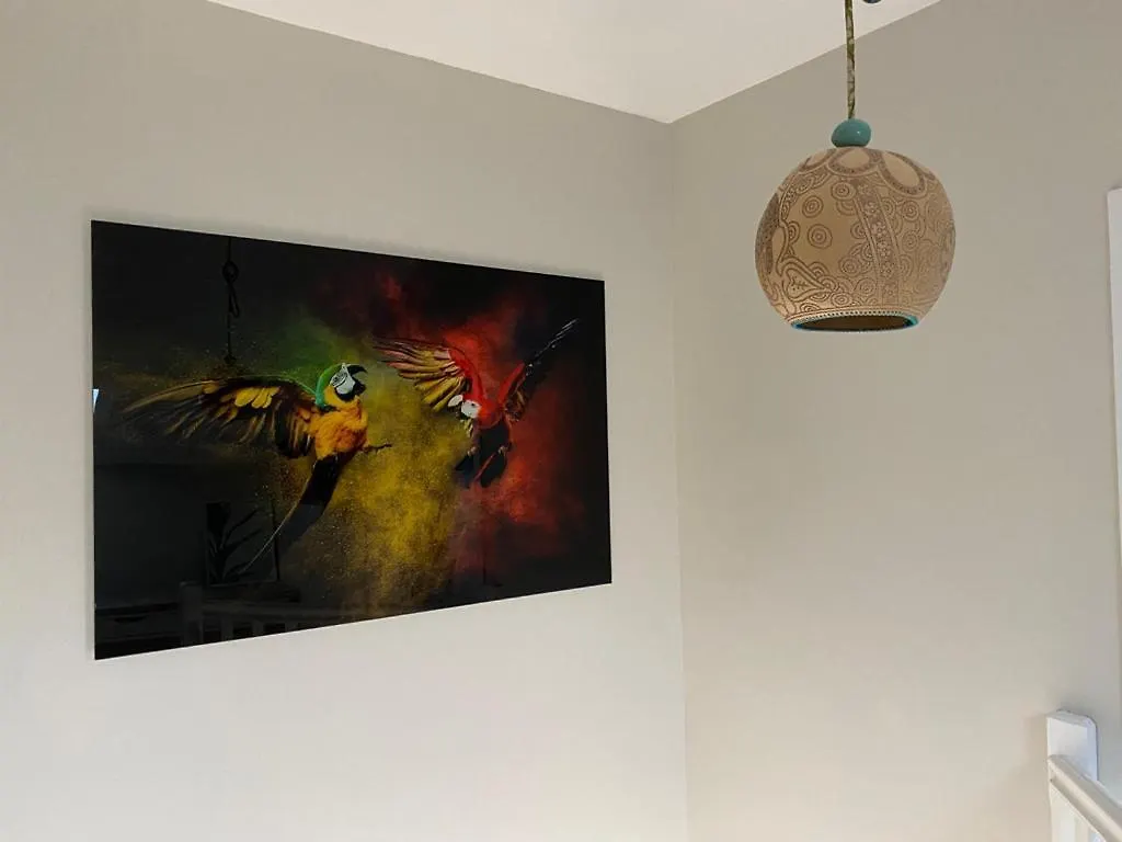 Appt Ambiance Exotique 2 Ch Piscine Lagon Apartment Tarbes 0*,  France