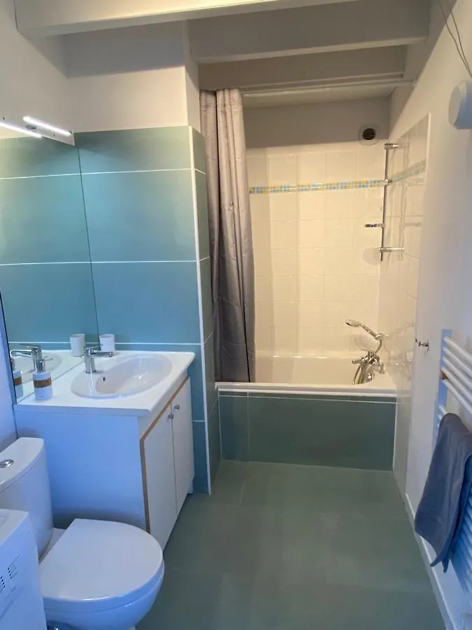 Appt Ambiance Exotique 2 Ch Piscine Lagon Apartment Tarbes France
