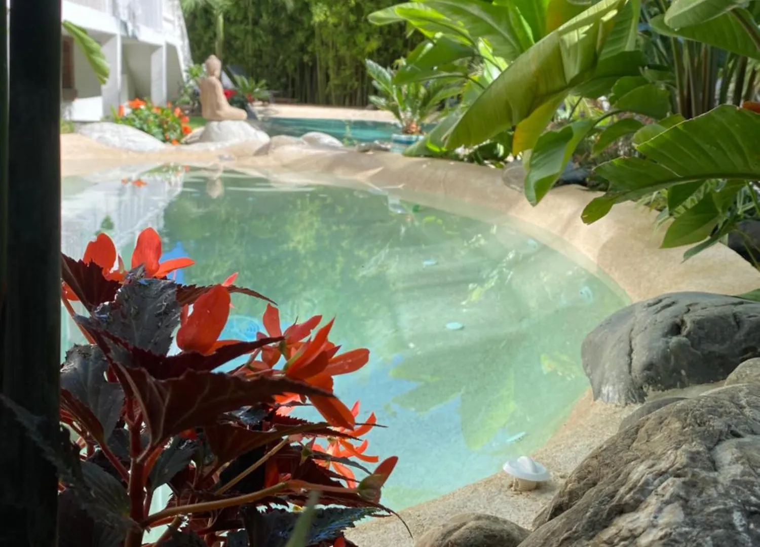 Appt Ambiance Exotique 2 Ch Piscine Lagon Apartment Tarbes