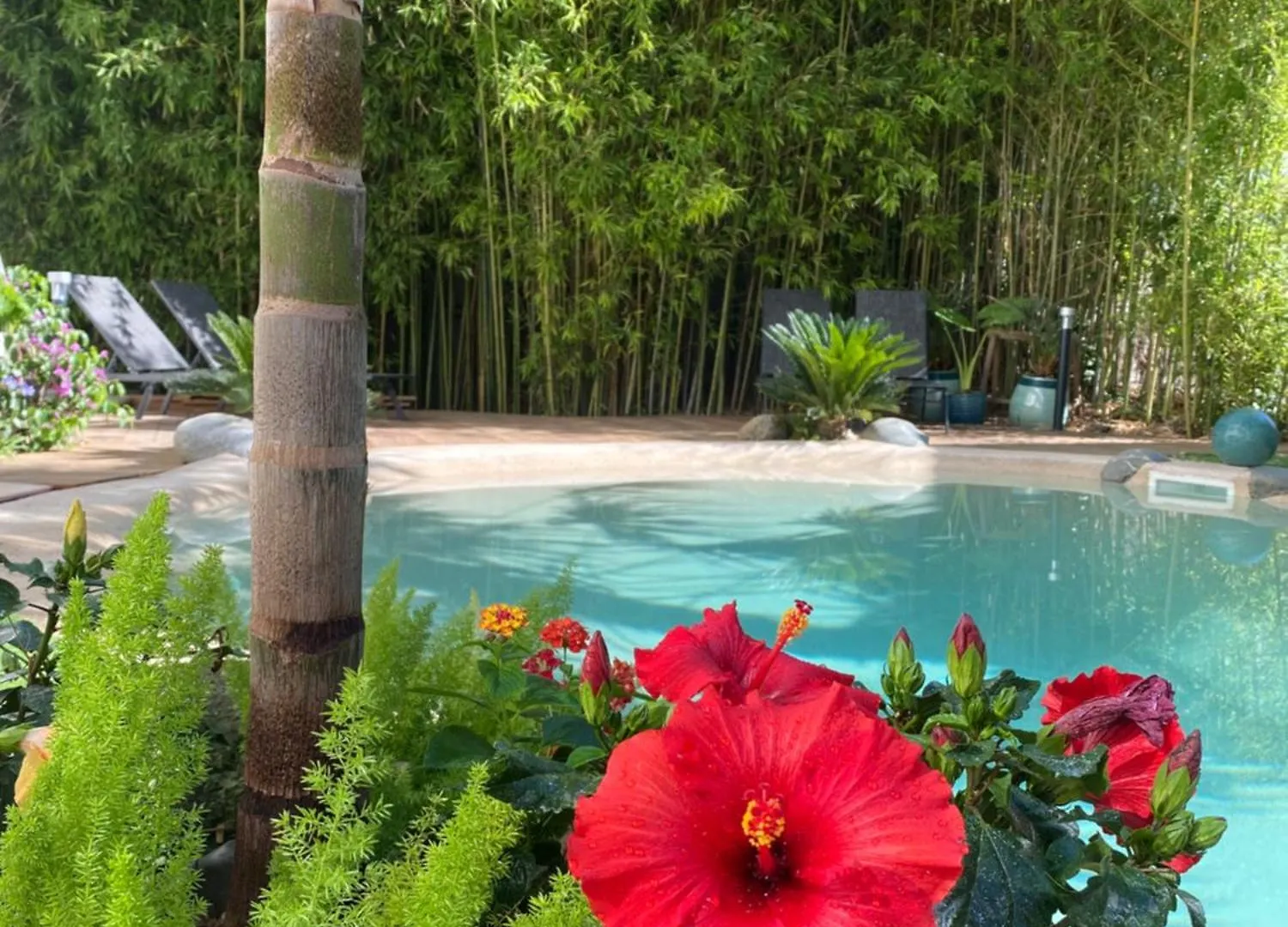 Appt Ambiance Exotique 2 Ch Piscine Lagon Apartment Tarbes